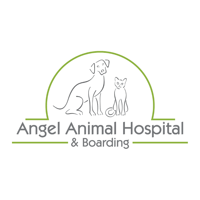 Angel Animal Hospital & Boarding