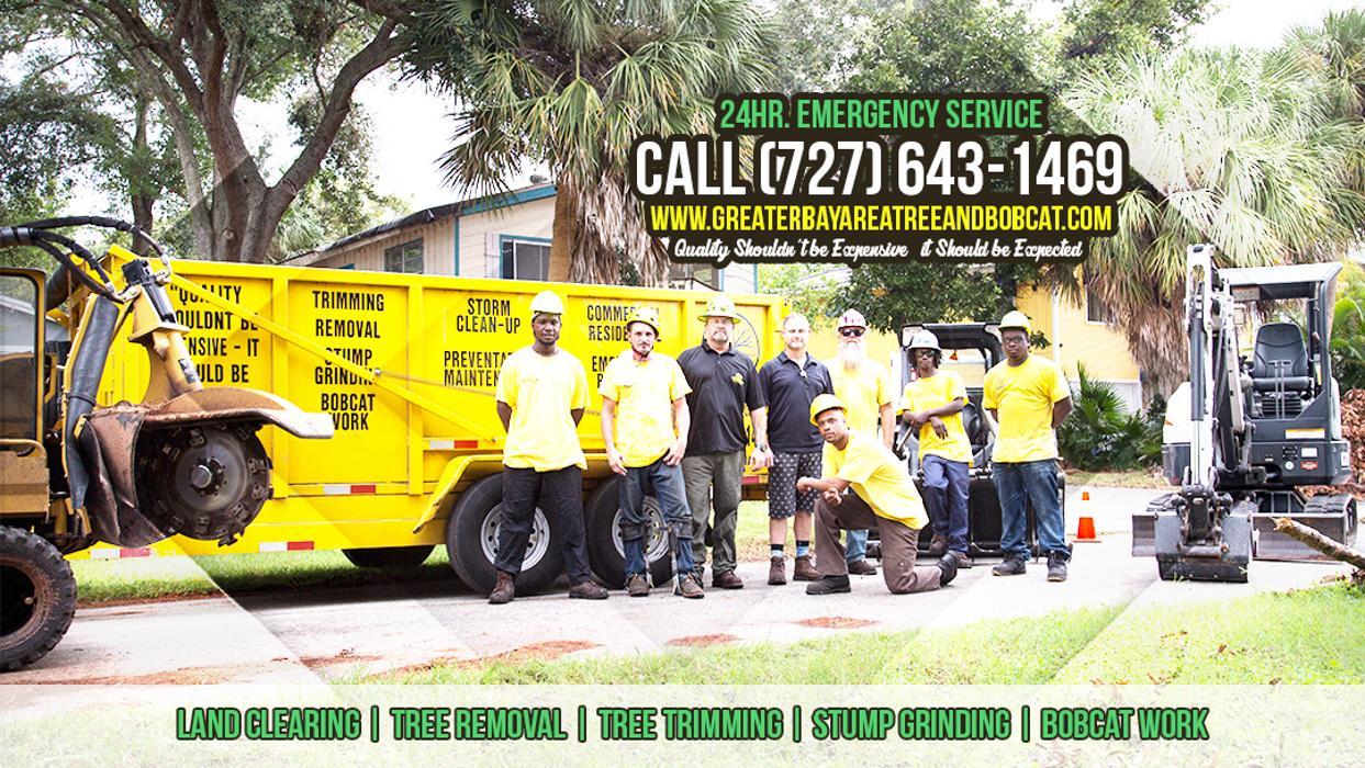 Greater Bay Area Tree & Arborist Services