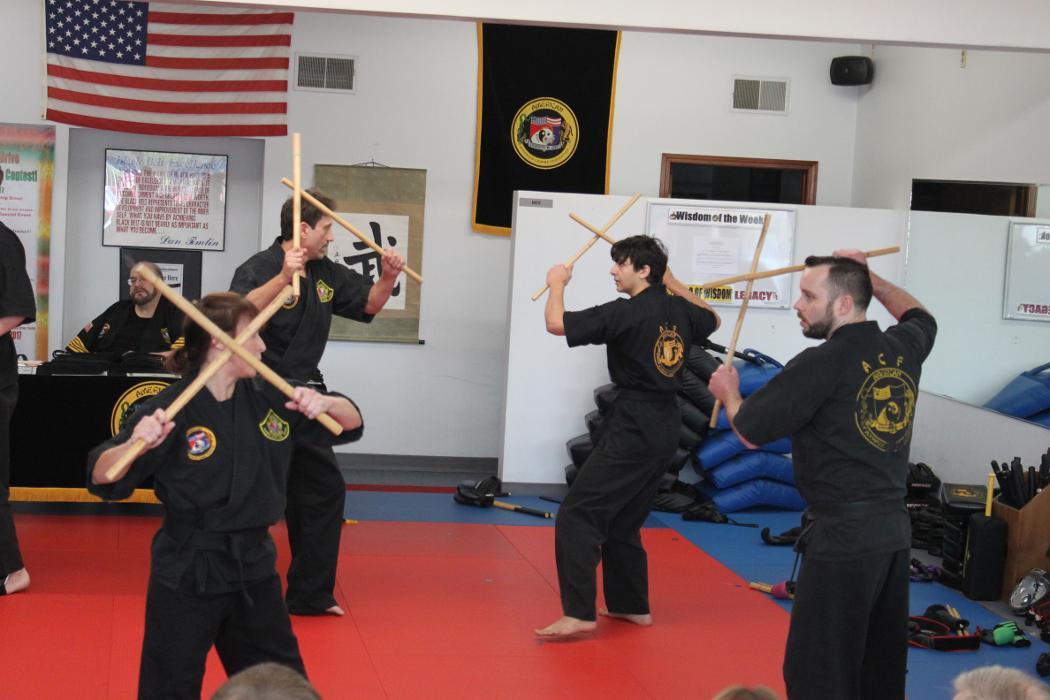 Mid-Michigan Academy of Martial Arts