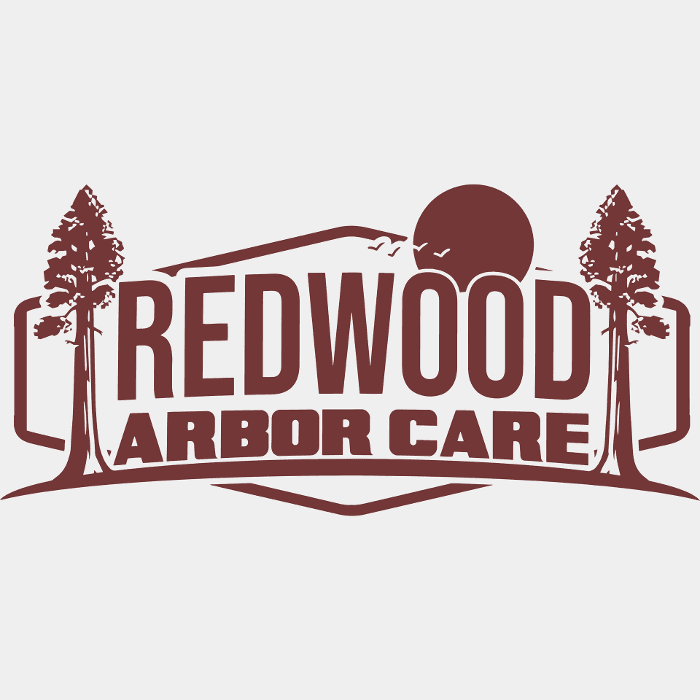 Redwood Arbor Care