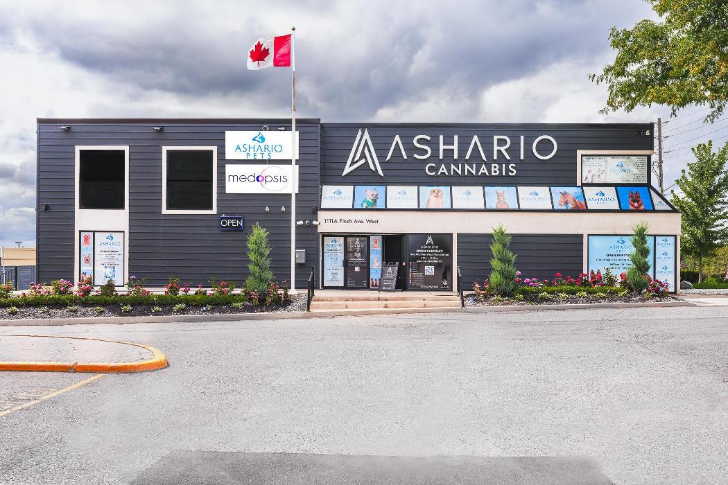 Ashario Cannabis Dispensary Weed Store - North York - 1111A Finch Ave West Unit 1 - M3J 2P7 - Vaughan & Richmond Hill