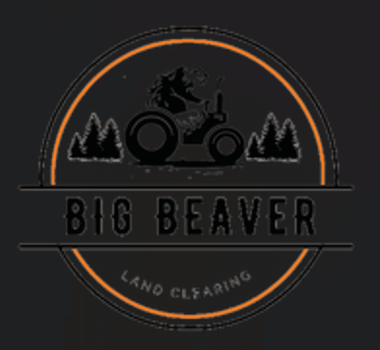 Big Beaver Land Clearing