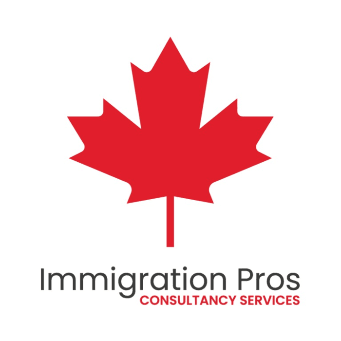 IP IMMIGRATION PROS INC.