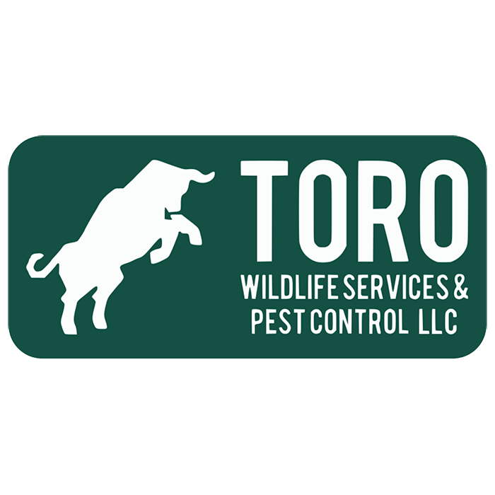 Toro Wildlife Services and Pest Control