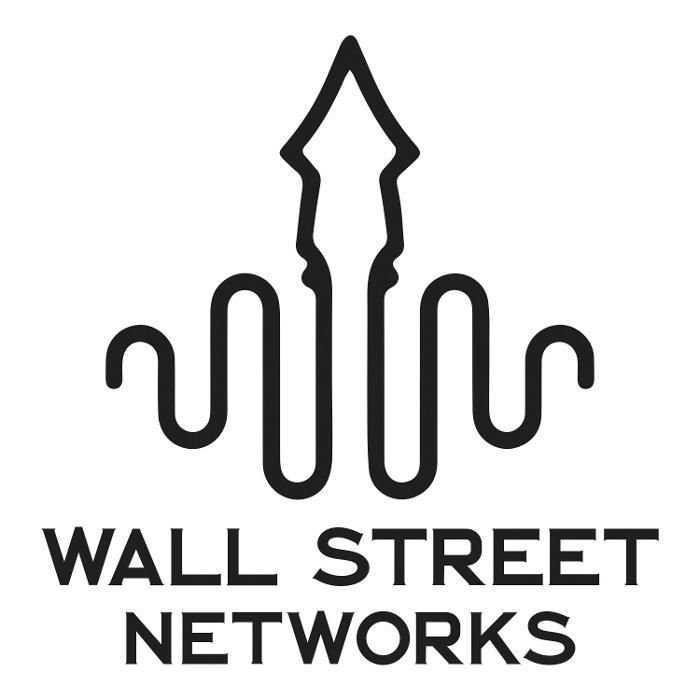 Wall Street Networks llc