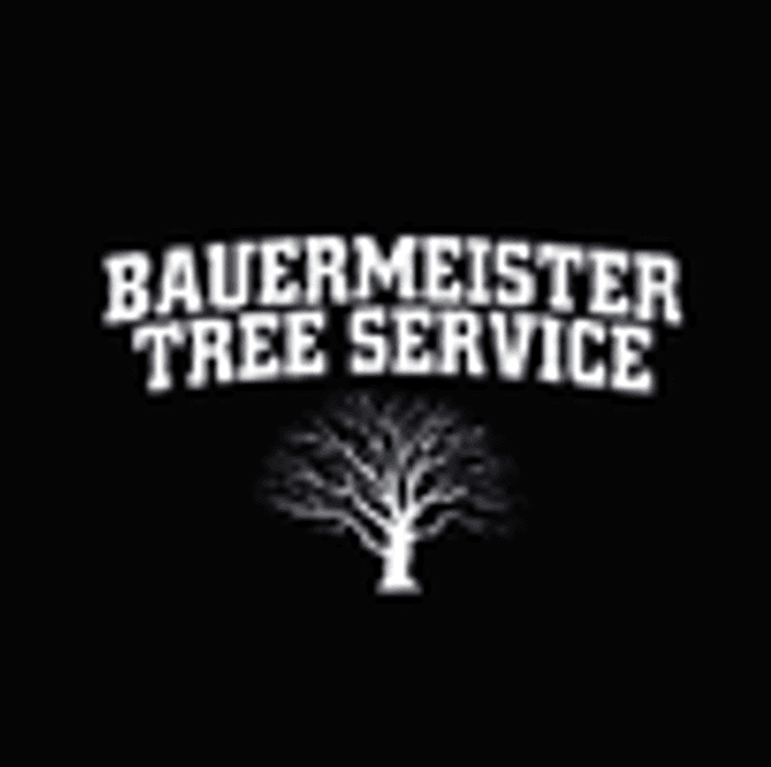 Bauermeister Tree