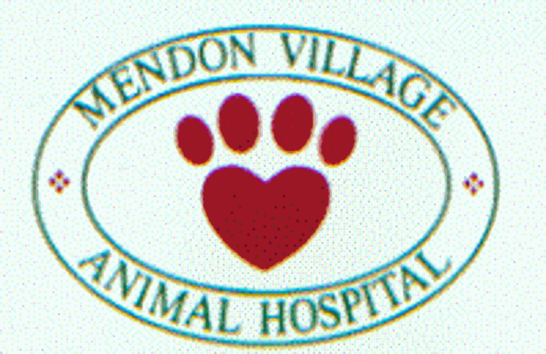 Mendon Village Animal Hospital