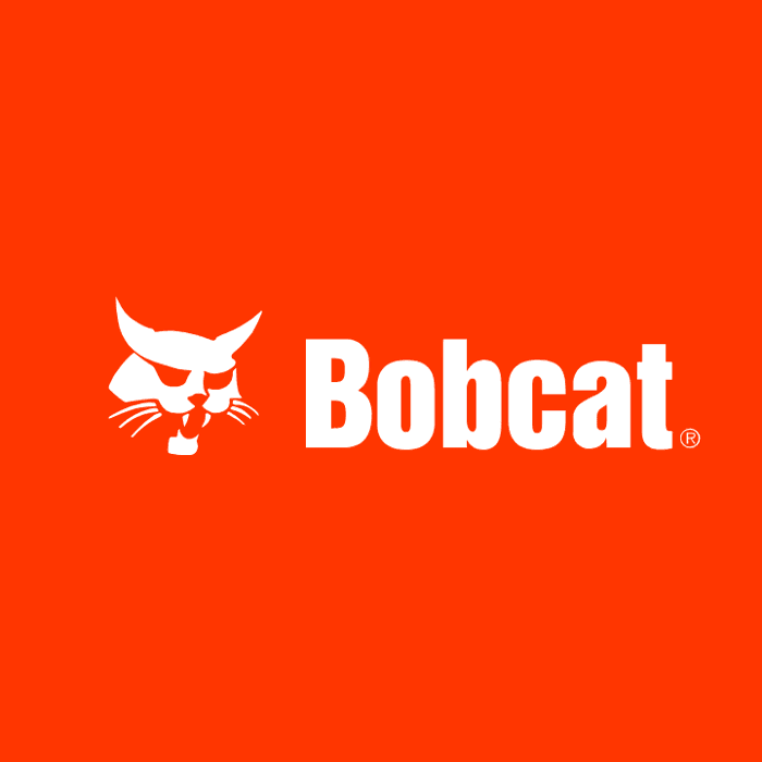 Bobcat of Buda