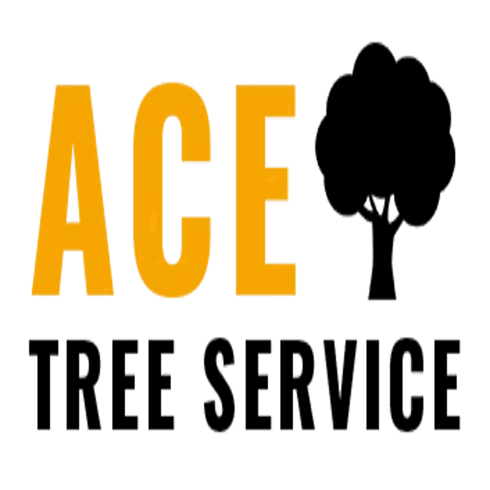 Ace Tree Service