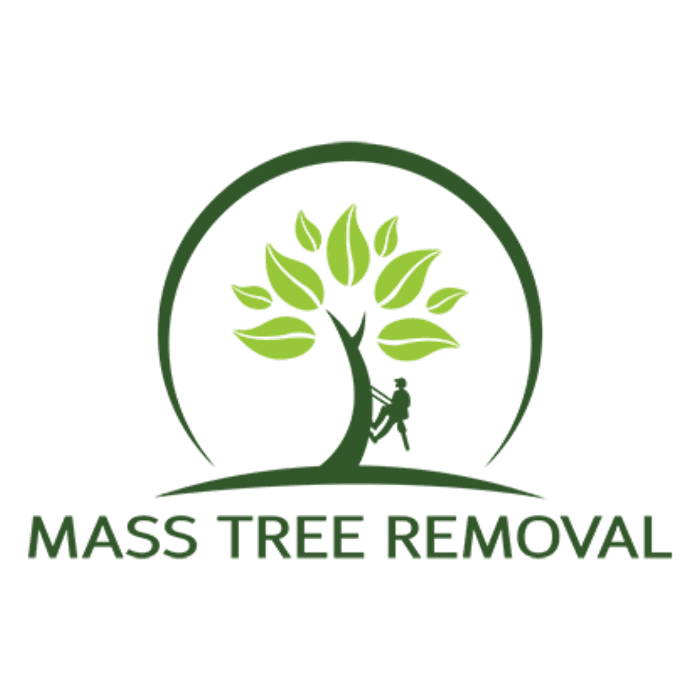 Mass Tree Removal