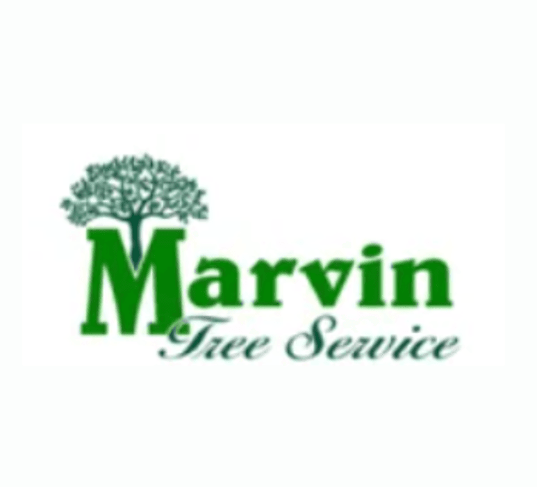 Marvin Tree Service