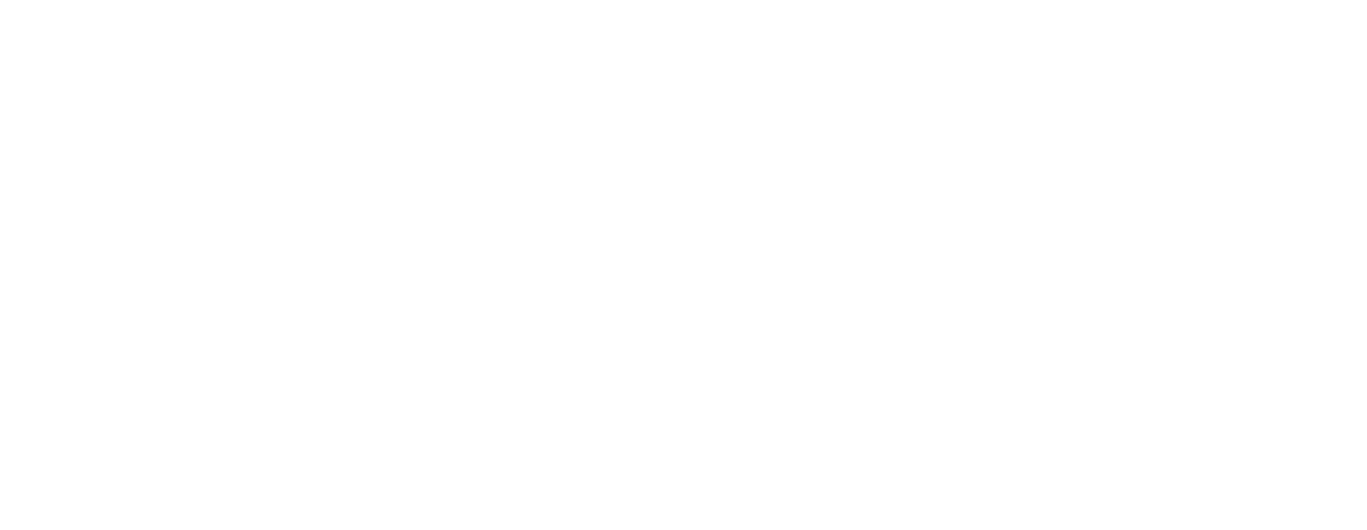 Silverback Video